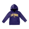 Hot Sale ❤️ Champion® Baby NCAA LSU Tigers Hoodie 🔔 -Champion® Sales Store Belk 1024