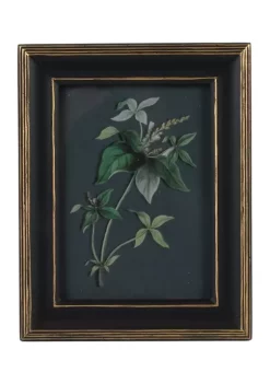 Wholesale 🔔 New View 5 x 7 Black & Gold Photo Frame 🎁