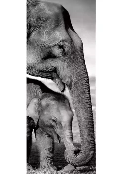 Top 10 🔥 New View Indian Elephants 11x35.5 🔥