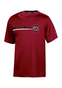Best Sale 🧨 Champion® NCAA South Carolina Gamecocks Graphic T-Shirt 😉