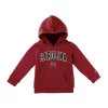 Best reviews of ✔️ Champion® Baby NCAA South Carolina Gamecocks Hoodie 💯 -Champion® Sales Store Belk 921